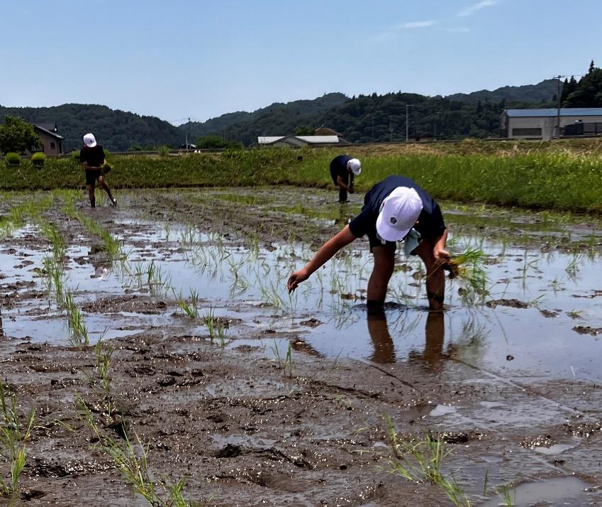 小学生の田植え体験を行いました！